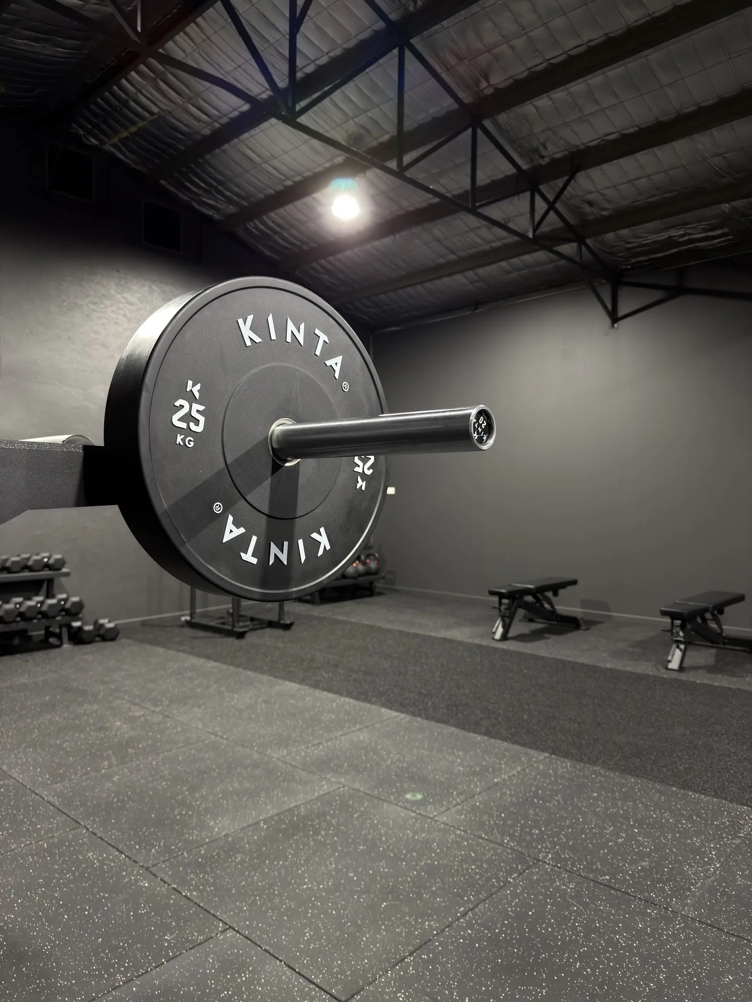 Strength training equipment at Olympus Lifestyle Co